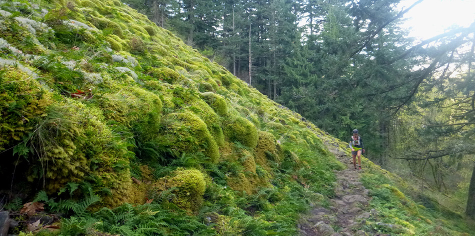 "Gorge Waterfall 100K<!-- 2015-->"